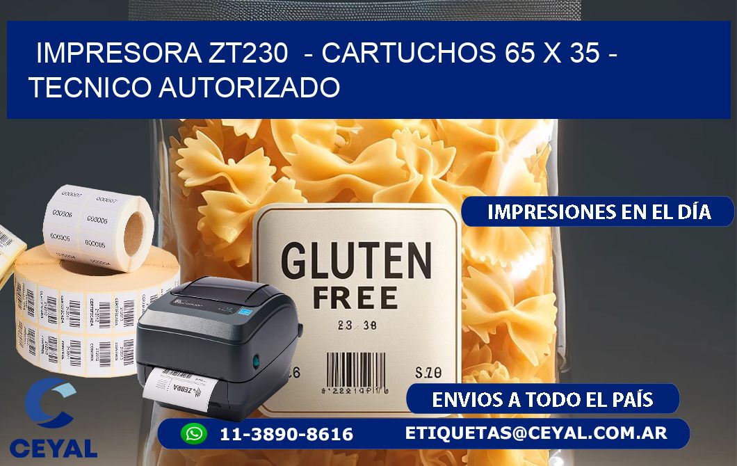 IMPRESORA ZT230  – CARTUCHOS 65 x 35 – TECNICO AUTORIZADO