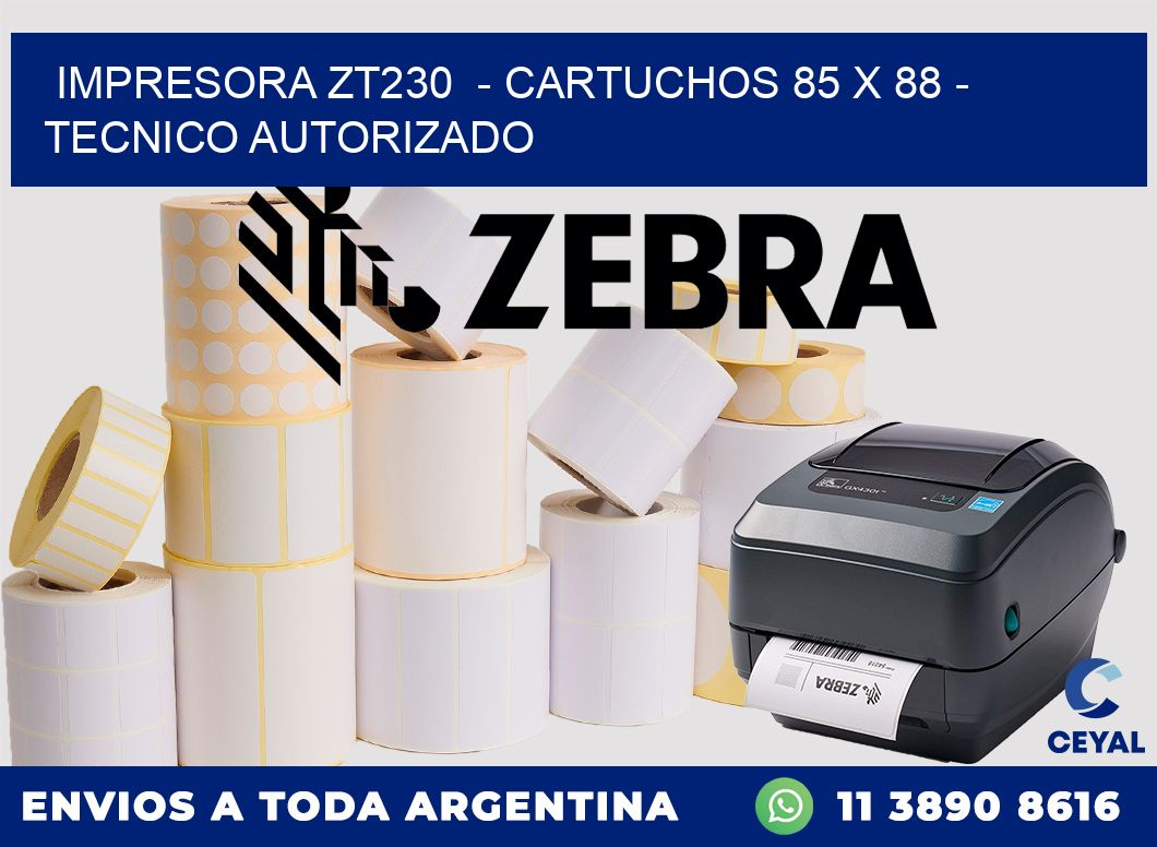 IMPRESORA ZT230  - CARTUCHOS 85 x 88 - TECNICO AUTORIZADO