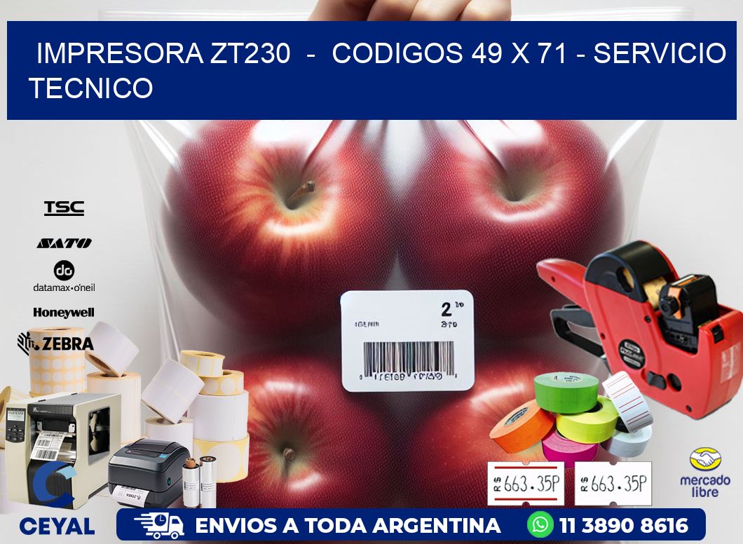 IMPRESORA ZT230  -  CODIGOS 49 x 71 - SERVICIO TECNICO