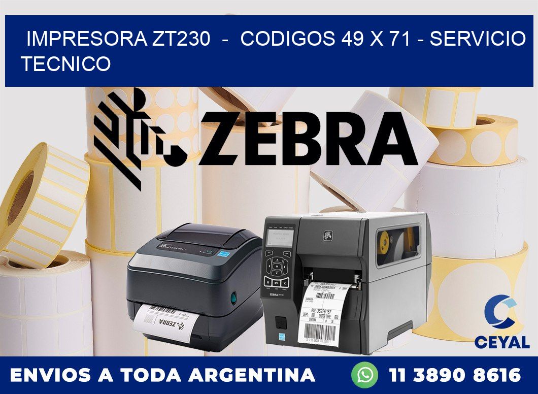 IMPRESORA ZT230  -  CODIGOS 49 x 71 - SERVICIO TECNICO