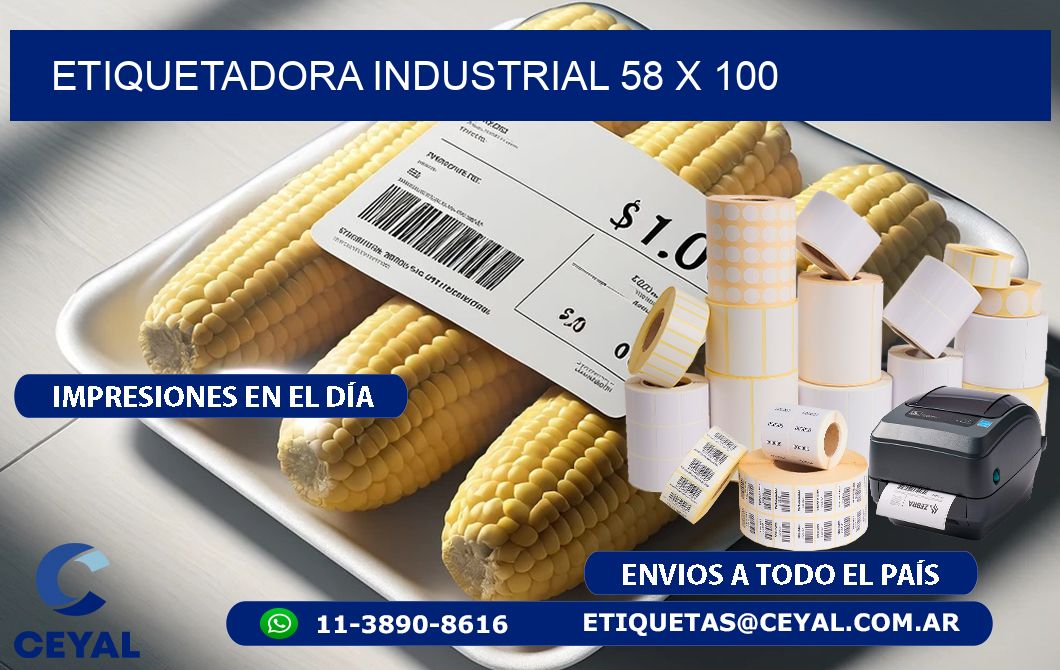 etiquetadora industrial 58 x 100
