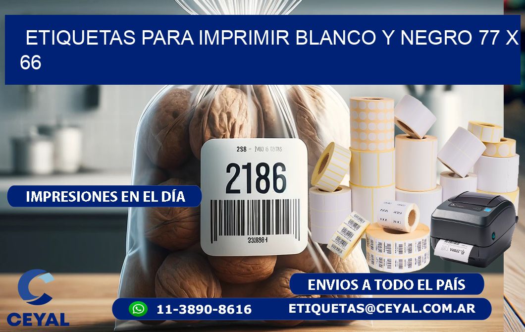 etiquetas para imprimir blanco y negro 77 x 66