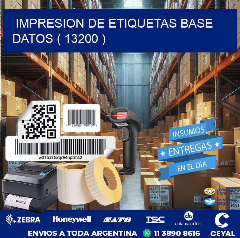impresion de etiquetas base datos ( 13200 )