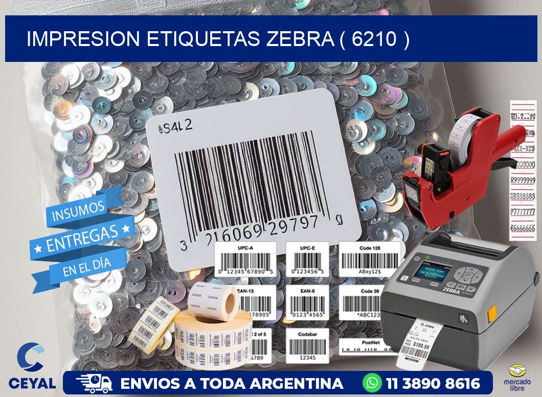 impresion etiquetas zebra ( 6210 )