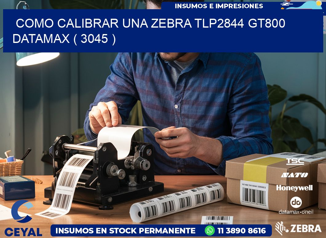 COMO CALIBRAR UNA ZEBRA TLP2844 GT800 DATAMAX ( 3045 )