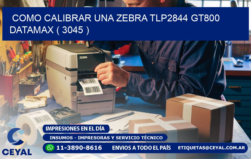 COMO CALIBRAR UNA ZEBRA TLP2844 GT800 DATAMAX ( 3045 )