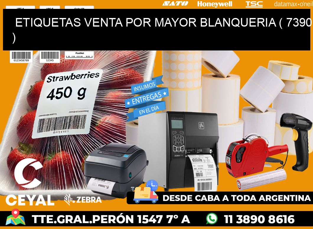 ETIQUETAS VENTA POR MAYOR BLANQUERIA ( 7390 )