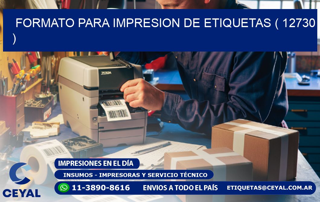 FORMATO PARA IMPRESION DE ETIQUETAS ( 12730 )