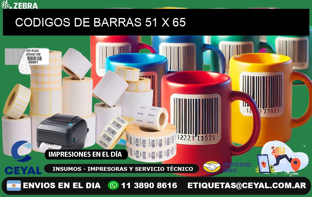 CODIGOS DE BARRAS 51 x 65