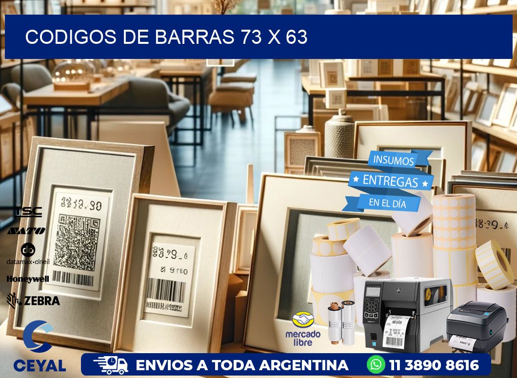 CODIGOS DE BARRAS 73 x 63