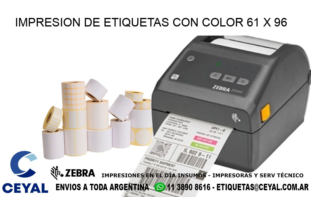 IMPRESION DE ETIQUETAS CON COLOR 61 x 96