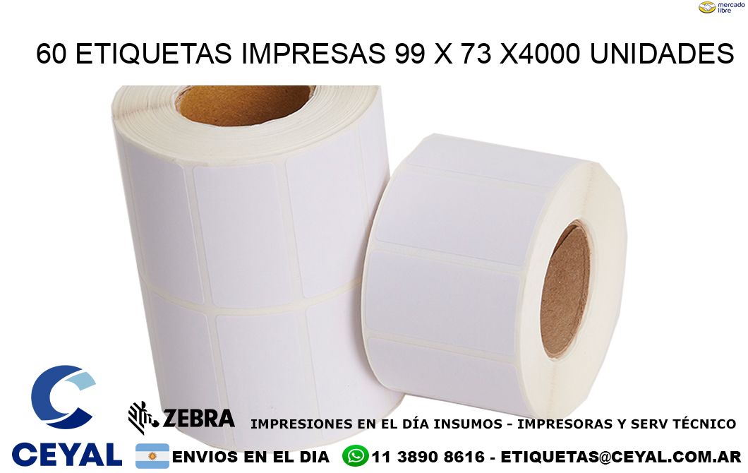 60 ETIQUETAS IMPRESAS 99 x 73 X4000 UNIDADES