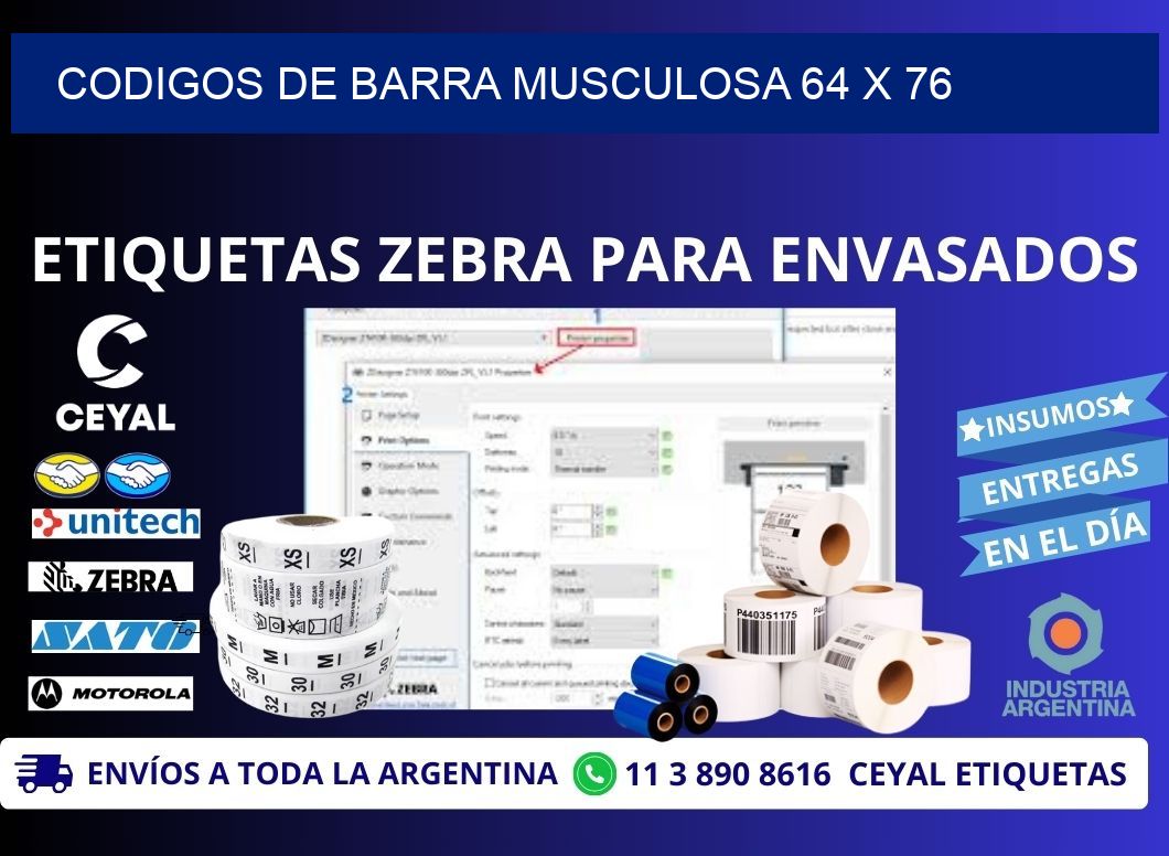 CODIGOS DE BARRA MUSCULOSA 64 x 76