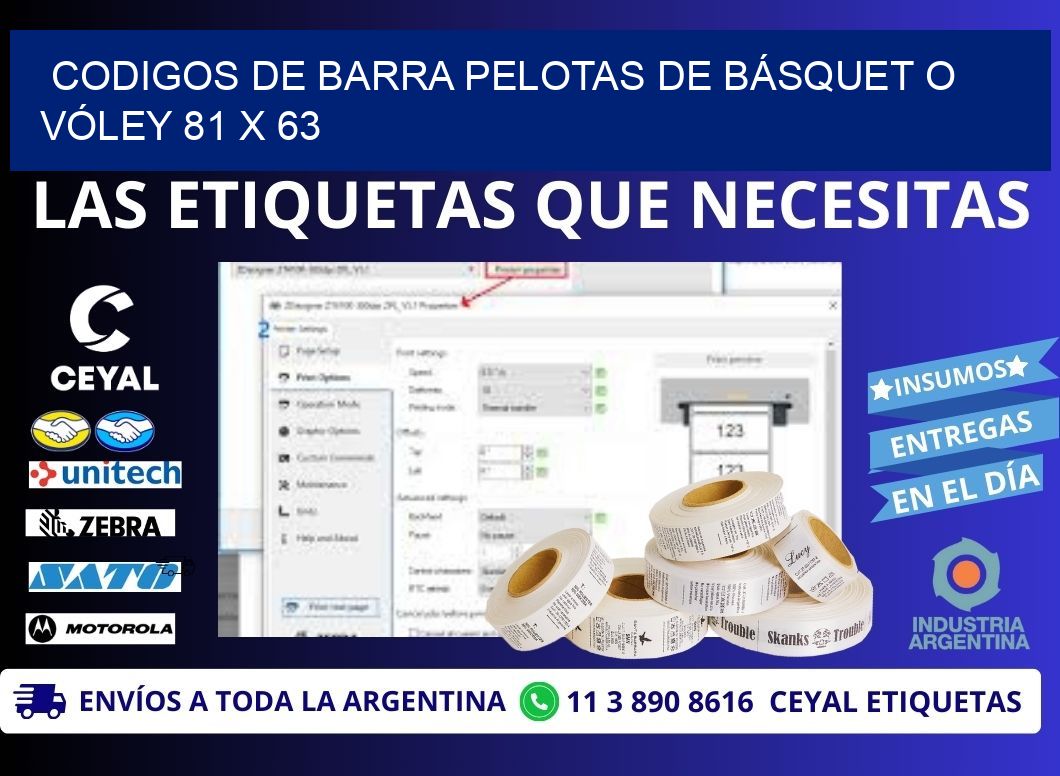 CODIGOS DE BARRA PELOTAS DE BÁSQUET O VÓLEY 81 x 63