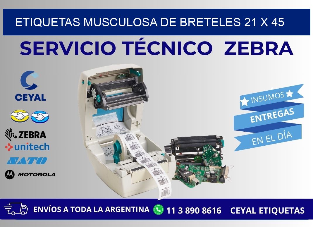 ETIQUETAS MUSCULOSA DE BRETELES 21 x 45