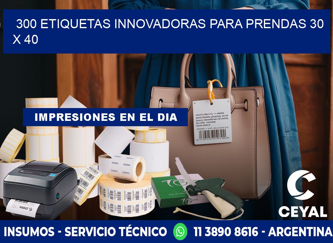 300 ETIQUETAS INNOVADORAS PARA PRENDAS 30 x 40