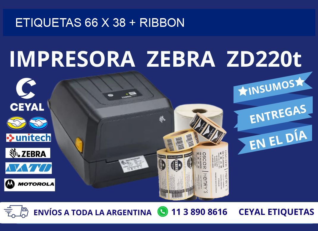 ETIQUETAS 66 x 38 + RIBBON