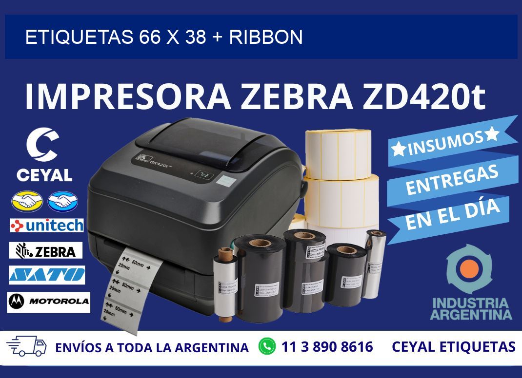 ETIQUETAS 66 x 38 + RIBBON