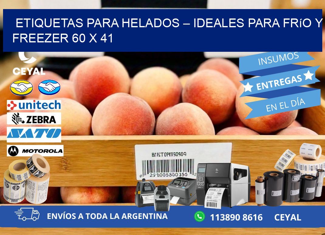 Etiquetas para helados – Ideales para frío y freezer 60 x 41