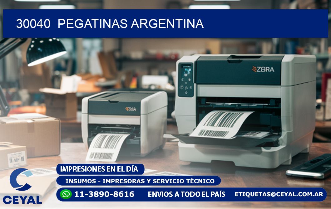 30040 Pegatinas Argentina