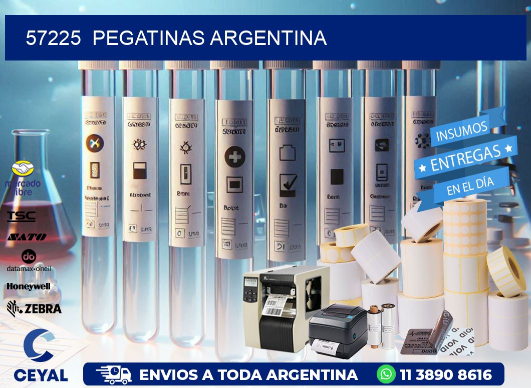 57225  Pegatinas Argentina