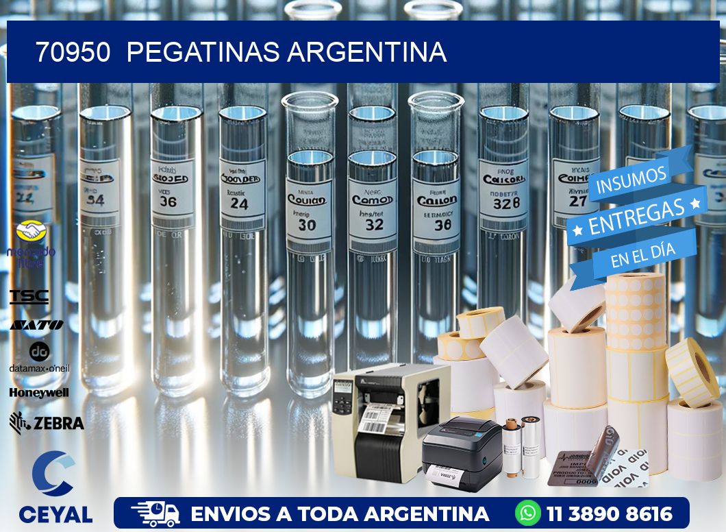 70950  Pegatinas Argentina
