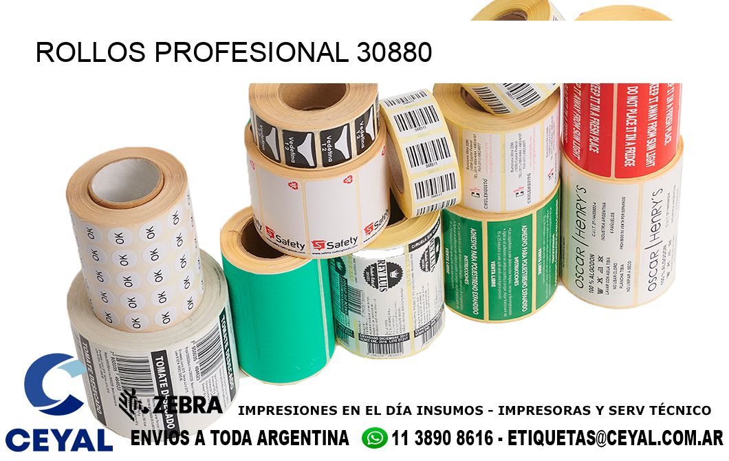 ROLLOS PROFESIONAL 30880