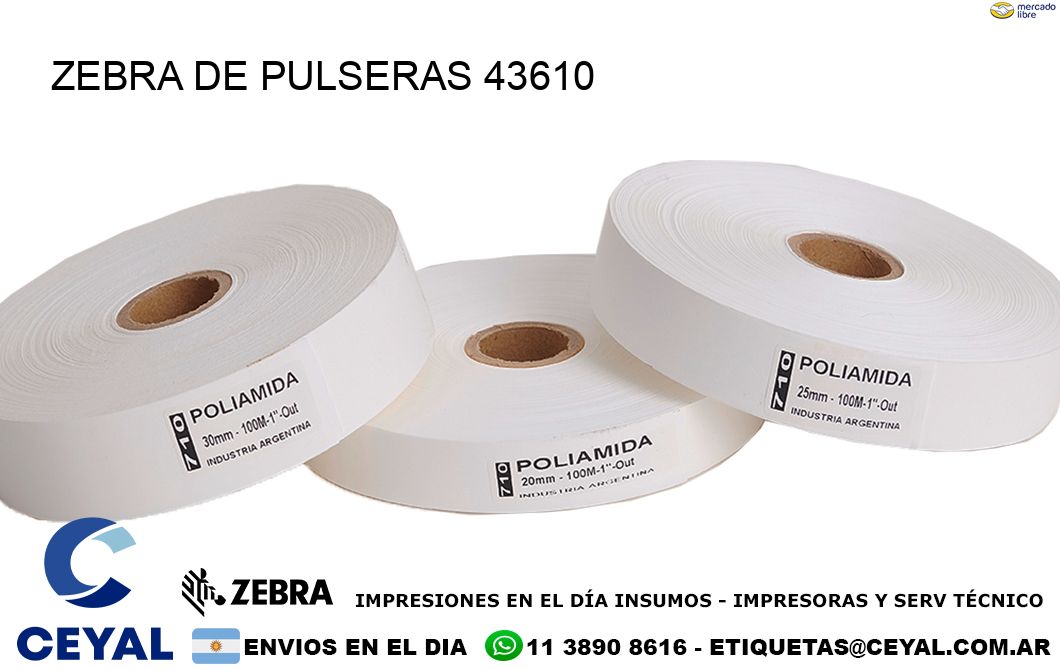 ZEBRA DE PULSERAS 43610