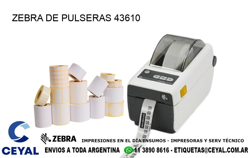 ZEBRA DE PULSERAS 43610