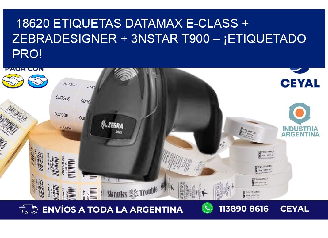 18620 ETIQUETAS Datamax E-Class + ZebraDesigner + 3nStar T900 – ¡Etiquetado pro!