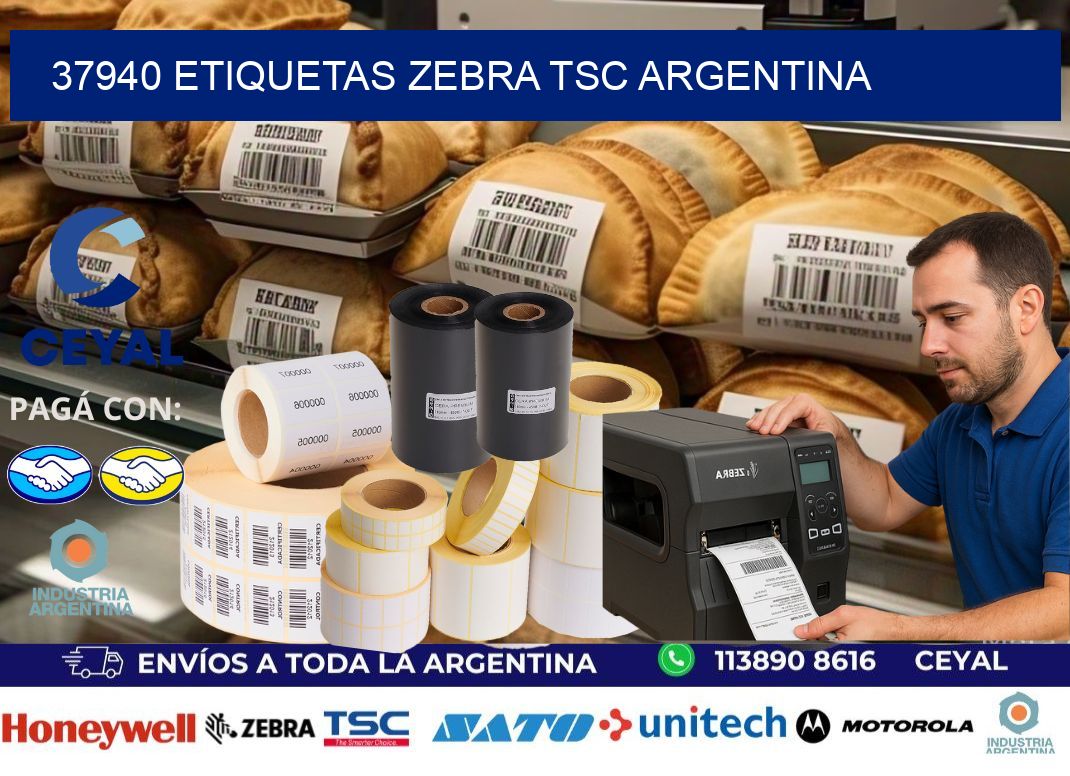 37940 etiquetas zebra tsc argentina