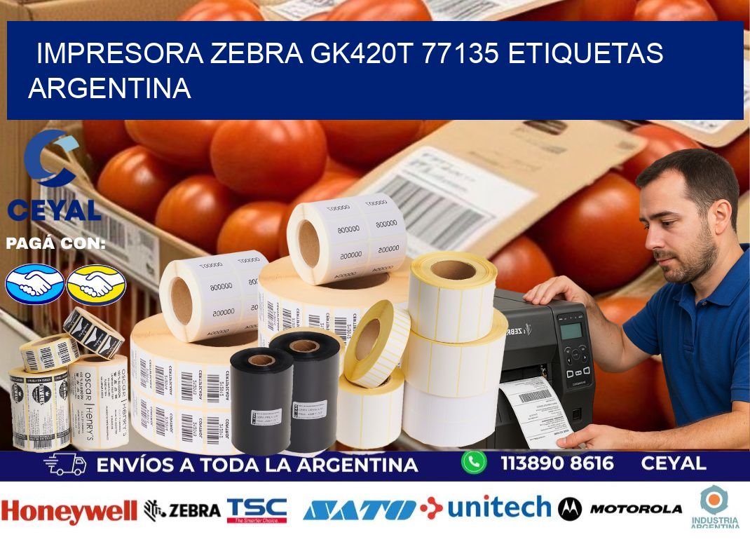 Impresora zebra gk420t 77135 etiquetas argentina