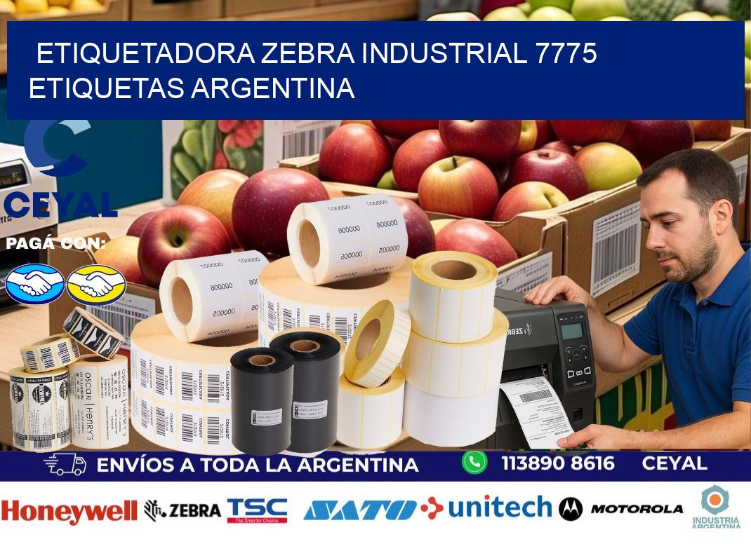 etiquetadora zebra industrial 7775 etiquetas argentina