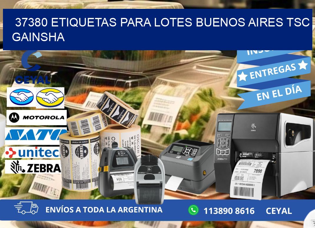 37380 ETIQUETAS PARA LOTES BUENOS AIRES TSC GAINSHA