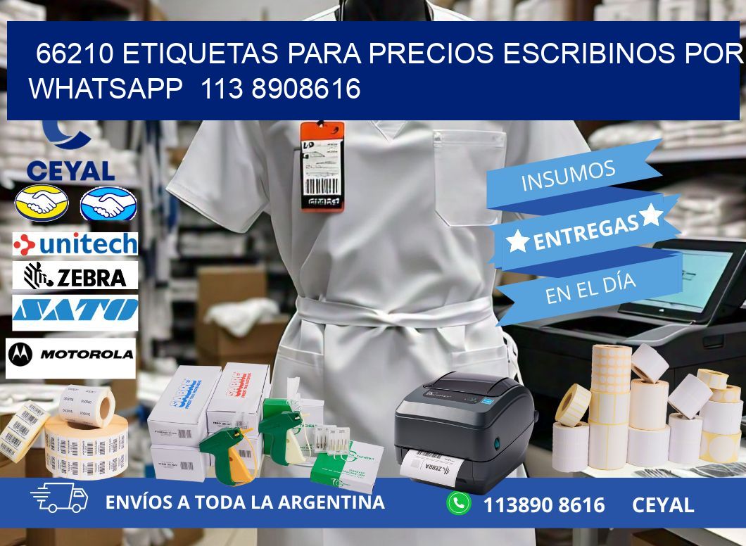 66210 ETIQUETAS PARA PRECIOS ESCRIBINOS POR WHATSAPP  113 8908616