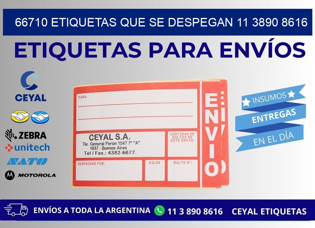 66710 ETIQUETAS QUE SE DESPEGAN 11 3890 8616