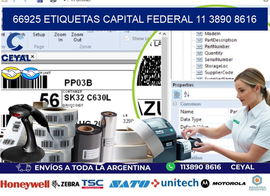 66925 ETIQUETAS CAPITAL FEDERAL 11 3890 8616