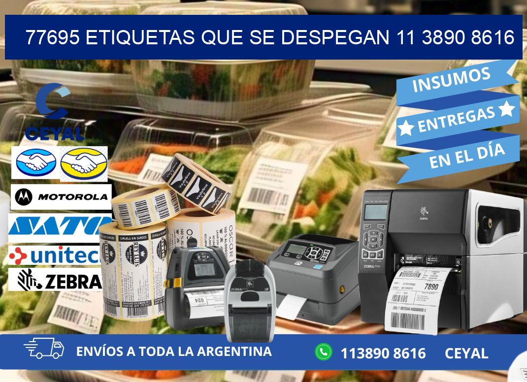 77695 ETIQUETAS QUE SE DESPEGAN 11 3890 8616