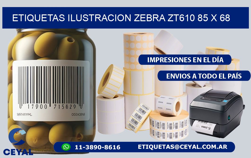 ETIQUETAS ILUSTRACION ZEBRA ZT610 85 x 68