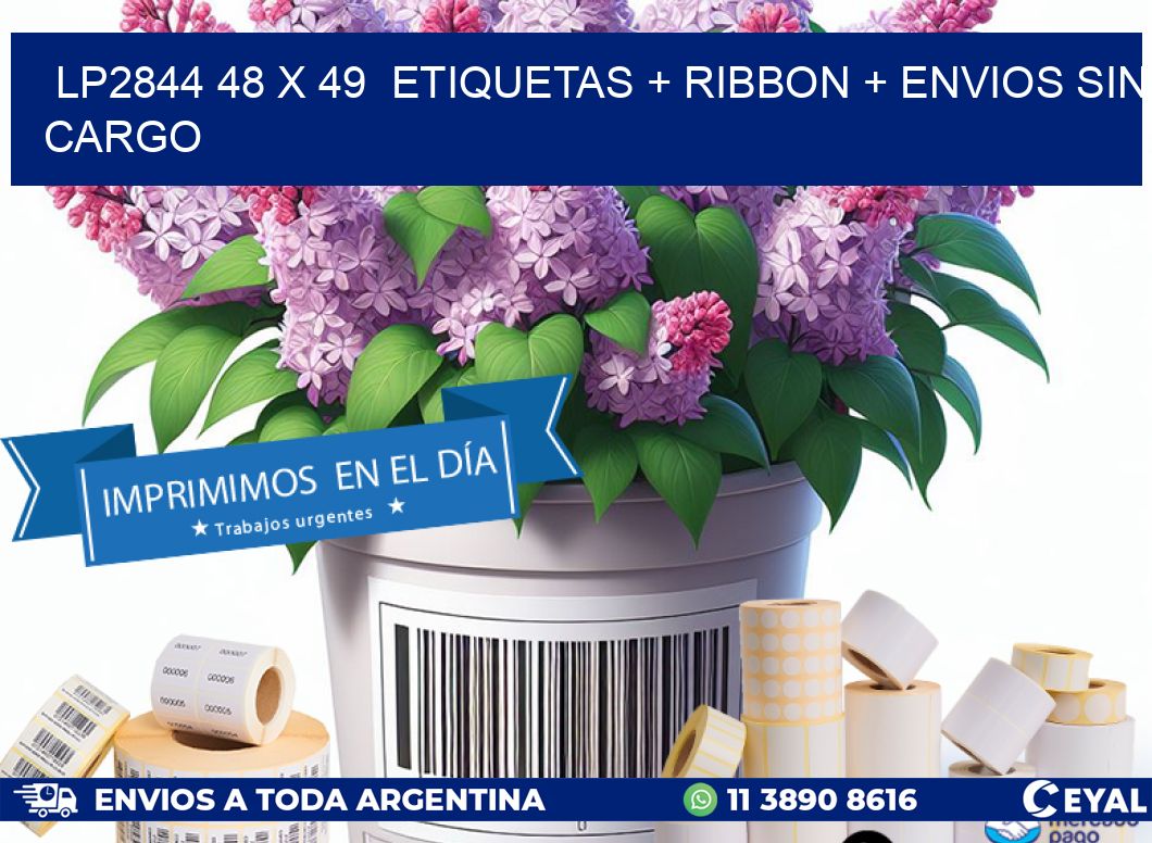 LP2844 48 x 49  etiquetas + ribbon + envios sin cargo