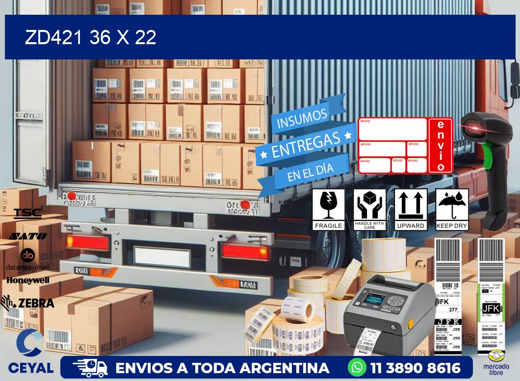 ZD421 36 x 22