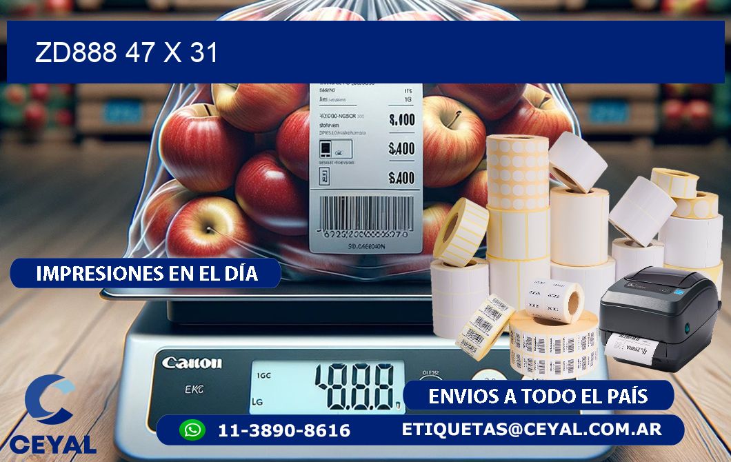 ZD888 47 x 31