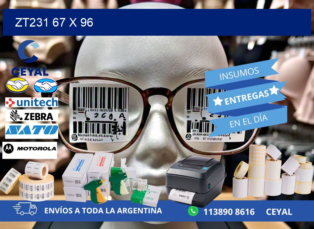 ZT231 67 x 96