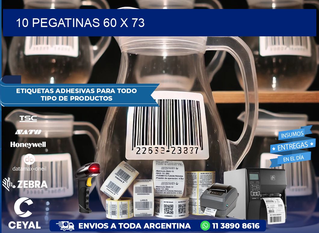 10 PEGATINAS 60 x 73