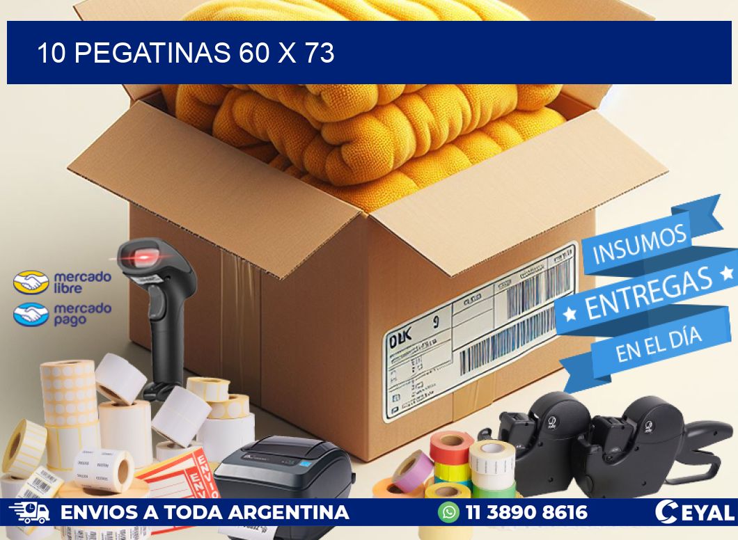 10 PEGATINAS 60 x 73