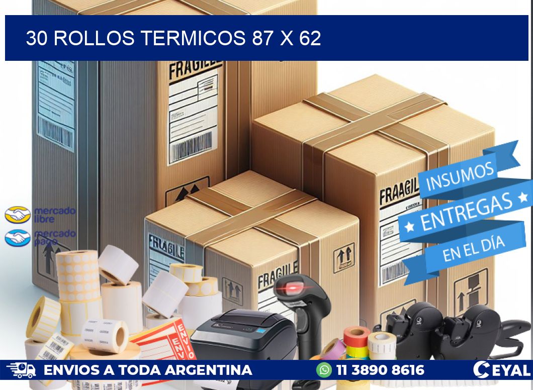 30 ROLLOS TERMICOS 87 x 62