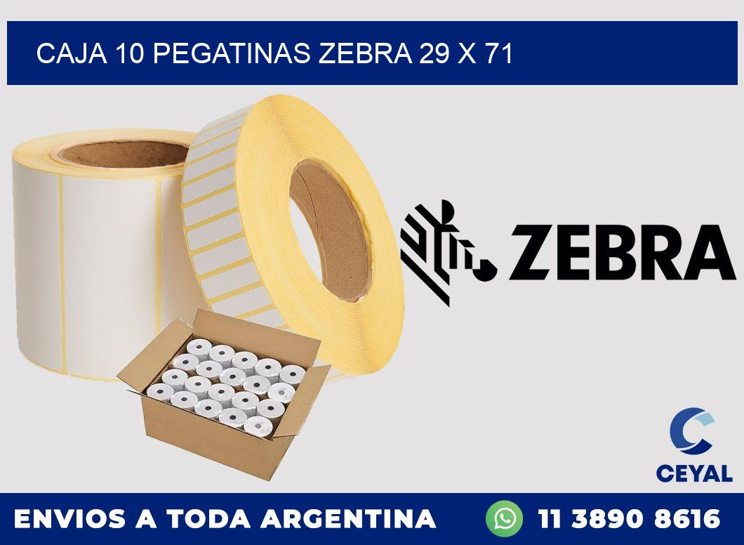 CAJA 10 PEGATINAS ZEBRA 29 x 71