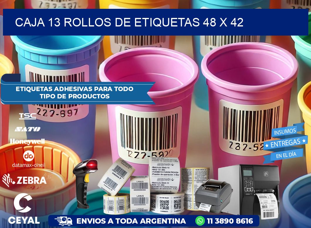 CAJA 13 ROLLOS DE ETIQUETAS 48 x 42