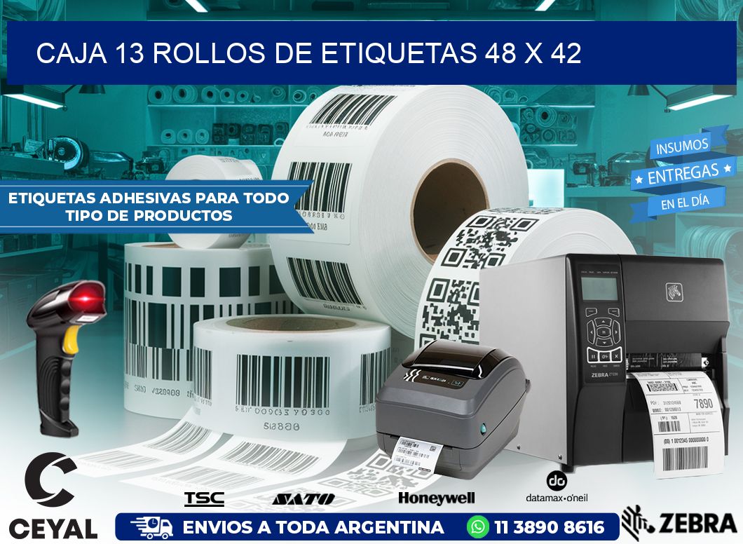 CAJA 13 ROLLOS DE ETIQUETAS 48 x 42