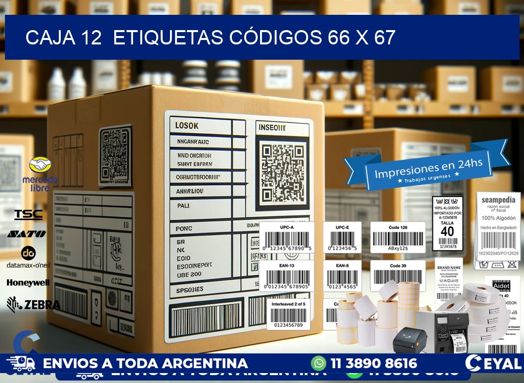 CAJA 12  ETIQUETAS CÓDIGOS 66 x 67